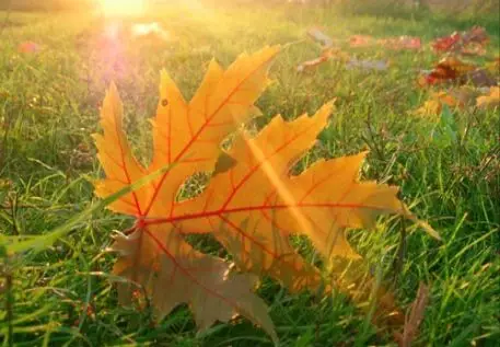 Следующая в РК неделя будет теплой и дождливой