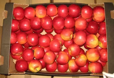 Казахстанские яблоки не прошли российскую таможню