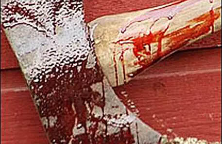 В Акмолинской области жена зарубила мужа топором и покончила с собой