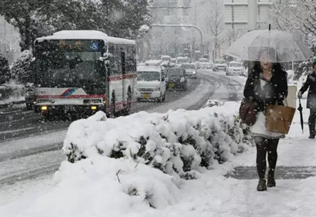Из-за снегопадов Toyota приостановила работу 12 заводов в Японии