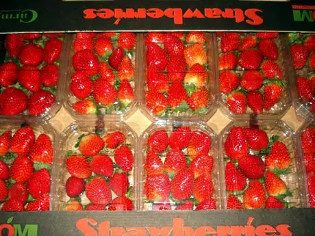 Сектору Газа разрешили экспортировать клубнику и цветы в Израиль