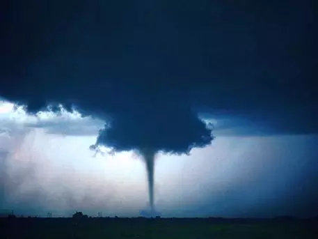 "Фанапи" зверствует: 54 жертвы