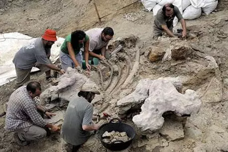 Палеонтологи доказали существование карликовых динозавров