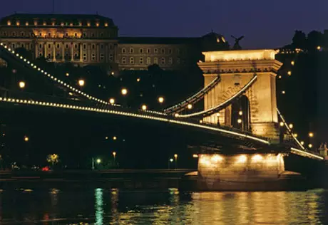 Из-за давки в ночном клубе Будапешта погибли трое человек