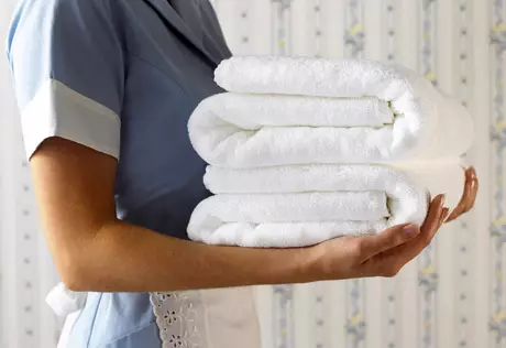 Польская домработница написала о неряшливости немцев