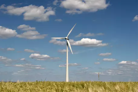 Елизавета II заработает на ветряной энергетике