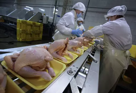 В Алматы изъяли более 60 тонн контрабандных окорочков из США 