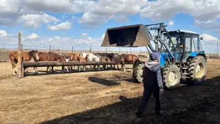 "Установите для начала хотя бы теплый туалет". Как сделать фермерство в Казахстане модным