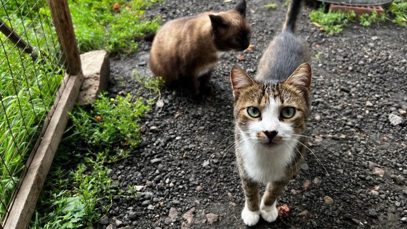 Фото ©️ Tengrinews.kz