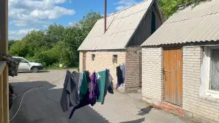 Больше денег, меньше тоев. Как живётся переселенцам с юга в северных областях Казахстана