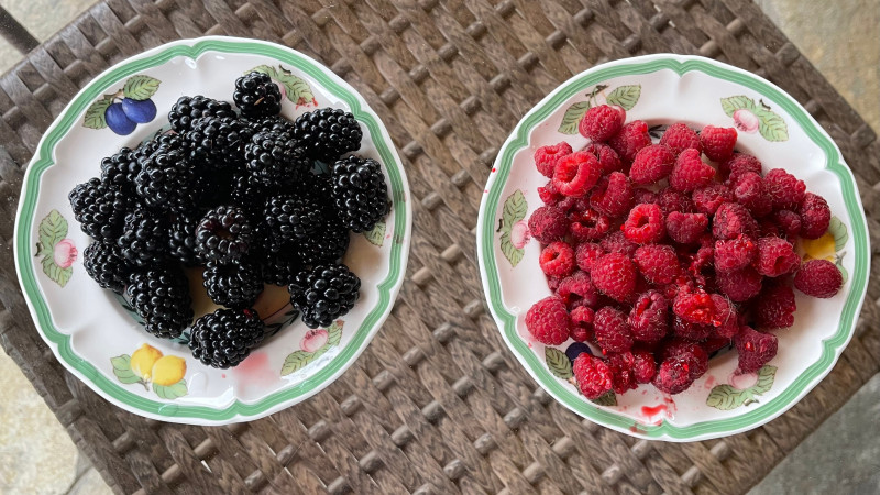 Фото: ©️ Алмаз Шарман