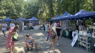 Закон есть, гуманности нет: почему в Казахстане продолжают убивать бездомных животных