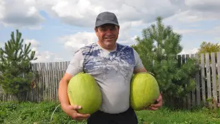 “И к арбузам с душой надо!“ Казахстанец превратил суровый север в знойный юг