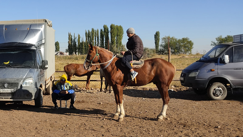 Фото ©️ Tengrinews.kz / Юлия Колмогорова