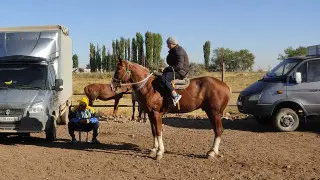 Чем аул отличается от города. Разбираем на примере сёл на юге Казахстана