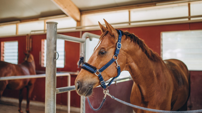 Фото:depositphotos.com