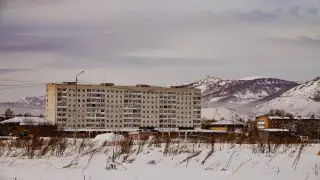 Правильные медведи, неправильный воздух. Репортаж из Риддера