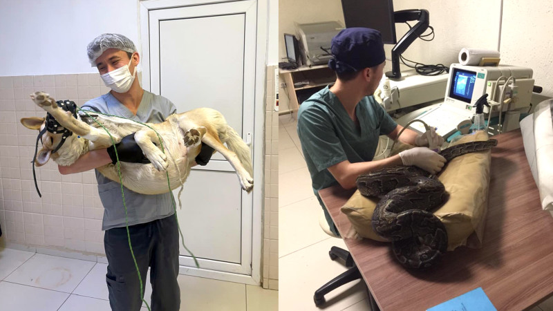 Фото: предоставлены героем материала