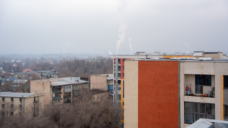 Фото: ©️ Tengrinews.kz / Болат Айтмолда