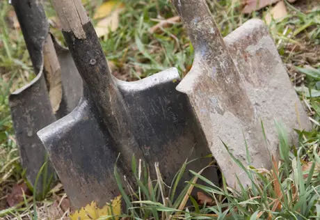 В Кущевской эксгумировали тело убитого бандой Цапка фермера 