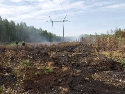 В Иркутской области 18 населенных пунктов остались без электричества