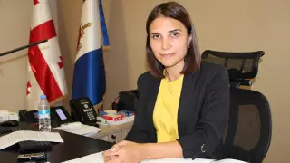 МВД Грузии о казахстанской полиции: Нужна сильная воля руководства