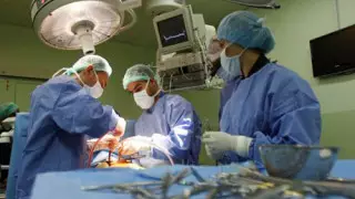 Бесплатной медицины не существует