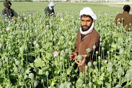 В Афганистане перехватили рекордную партию наркотиков