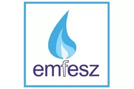 Rosgas потерял контроль над венгерским газовым трейдером Emfesz