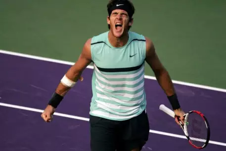 Хуан Мартин дель Потро признан спортсменом года в Аргентине