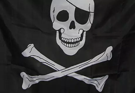 В Индии в ходе спецоперации задержаны 15 пиратов