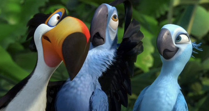 Кадр мультфильма "Рио"