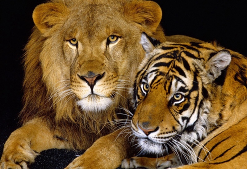 Фото с сайта nnm.ru