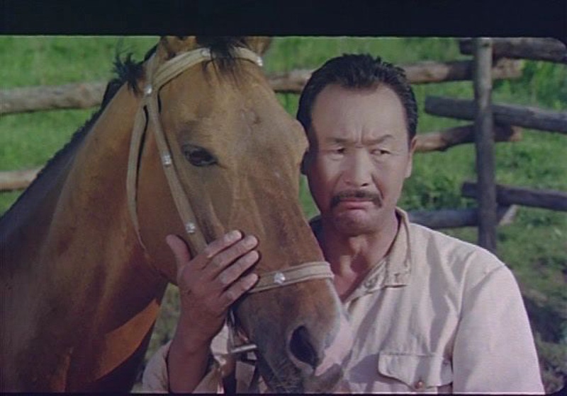 Кадр из фильма "Прощай, Гульсары!"