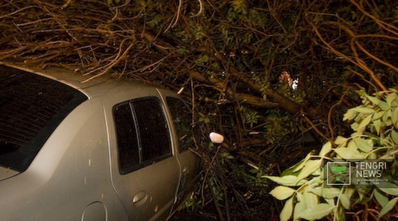 ©Владимир Дмитриев