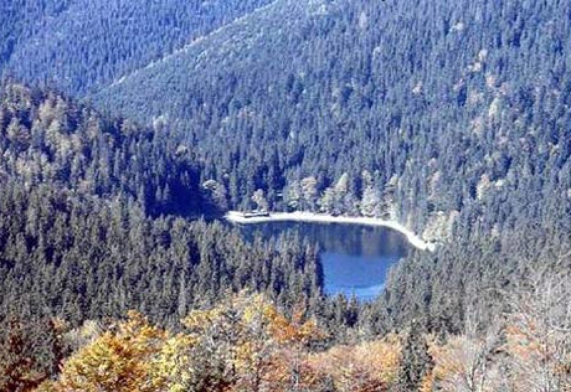 Заповедник "Синевир". Фото с сайта synevir.karpat.org