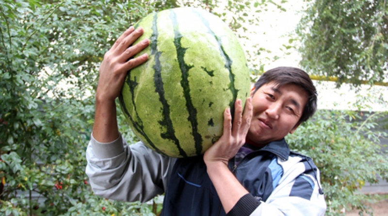 Руслан Хан с гигантским арбузом  ©Ярослав Радловский