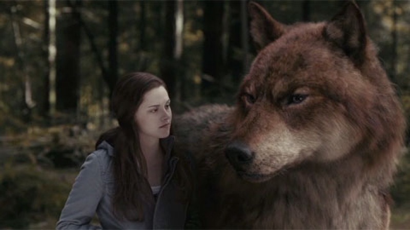 Кадр фильма "Сумерки. Сага. Затмение". Фото с сайта kinonews.ru