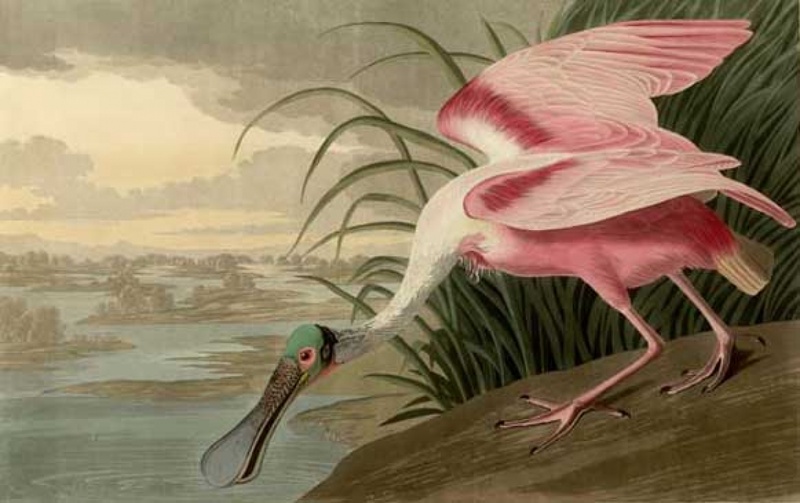 Фото с сайта labirint.ru