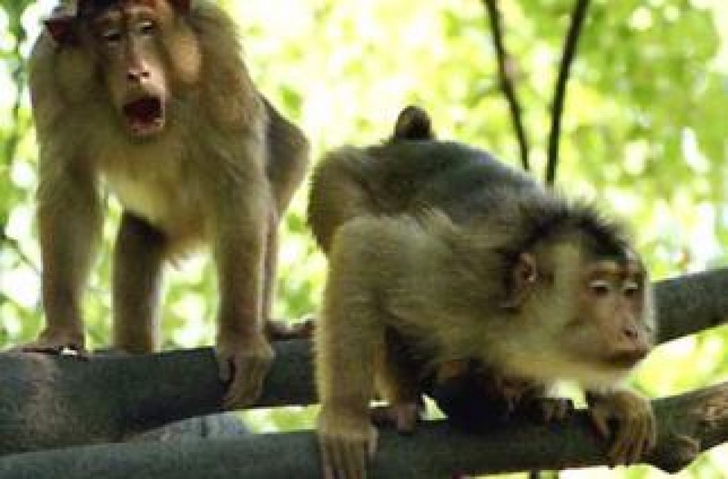 Фото с сайта karaganda-region.kz