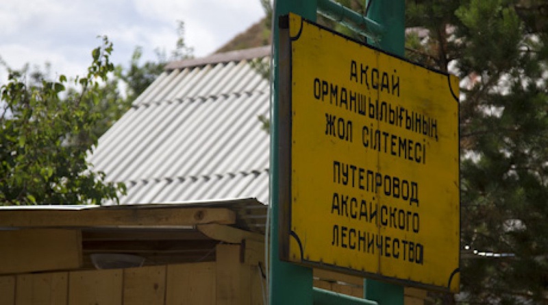 Иле-Алатауский природный парк. Фото Владимир Дмитриев©