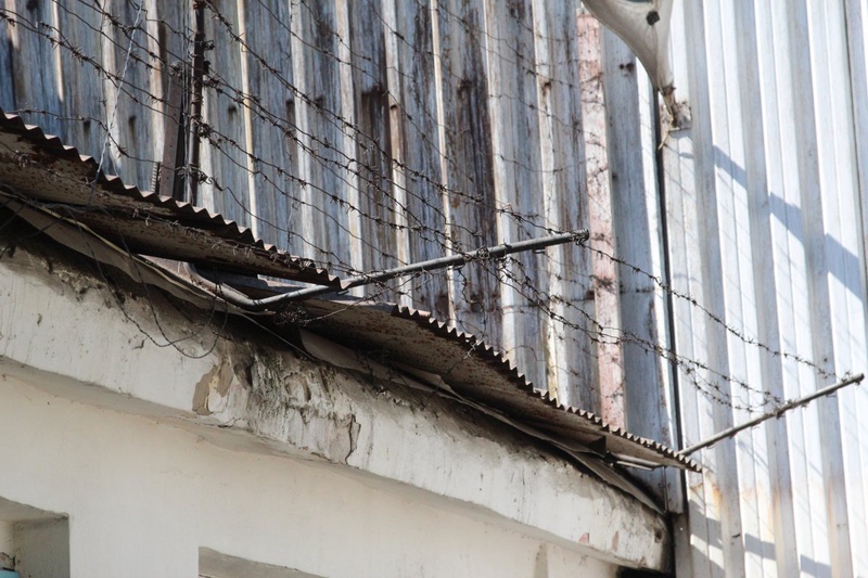 Фото ©Владимир Прокопенко