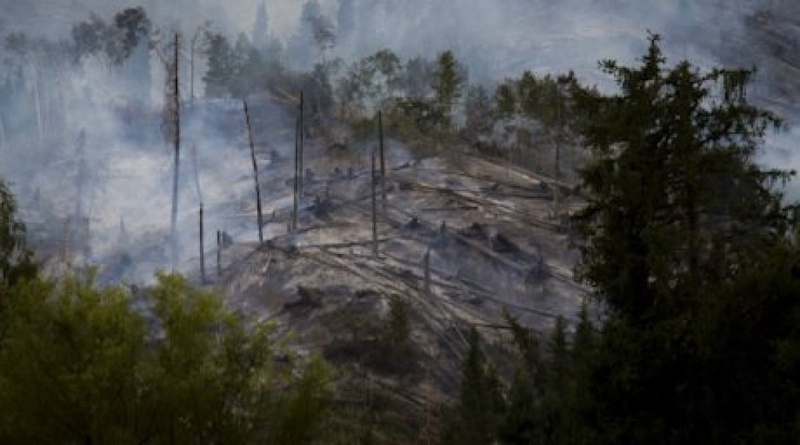Последствия пожара на горе Мохнатка. Август 2012. Фото Владимир Дмитриев©