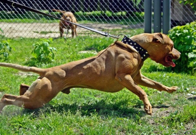 Фото с сайта staffstyle.ru 