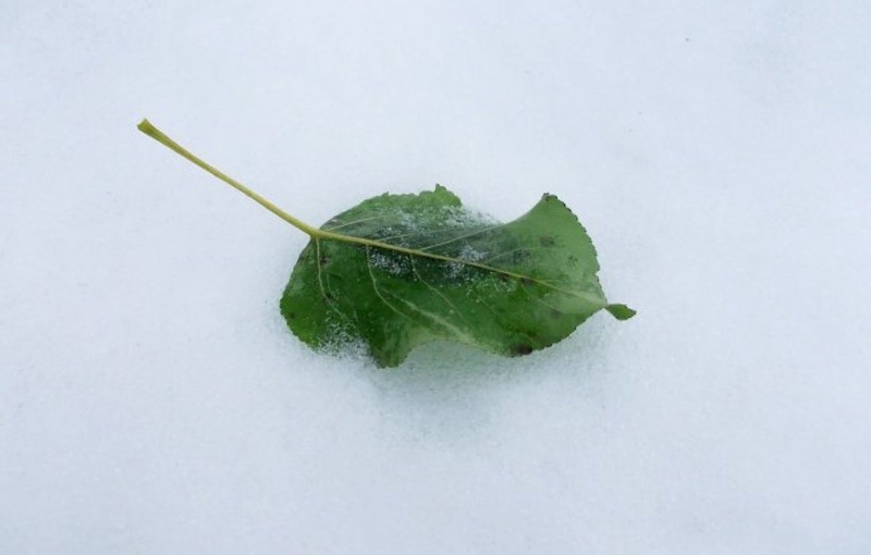 Фото с сайта getwall.ru