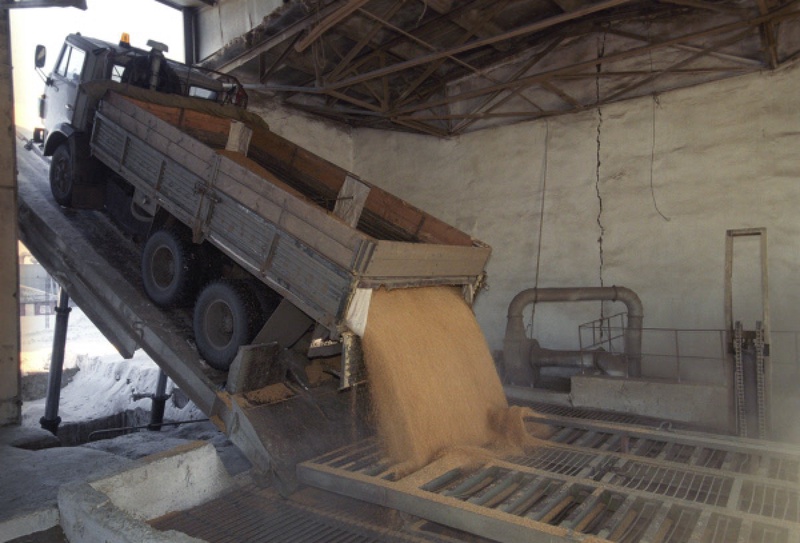 Прием зерна на Шипуновском элеваторе. Фото ©РИА Новости