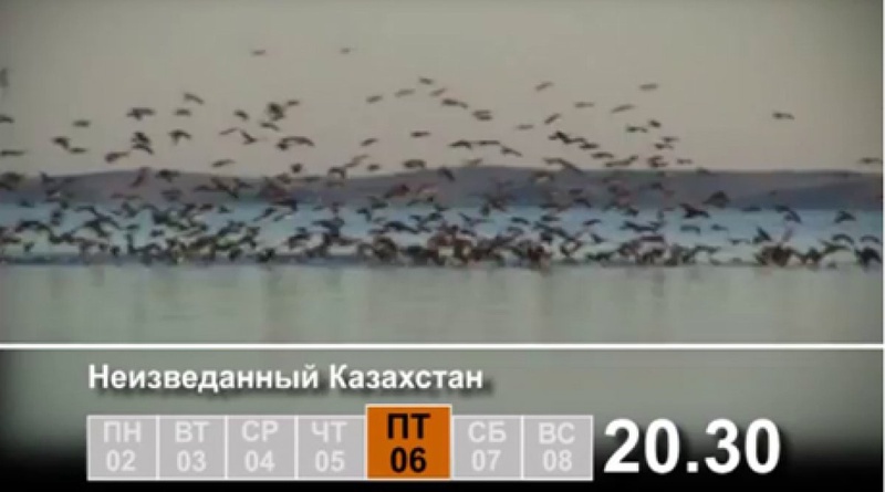 Кадр видео телеканала ©СТВ