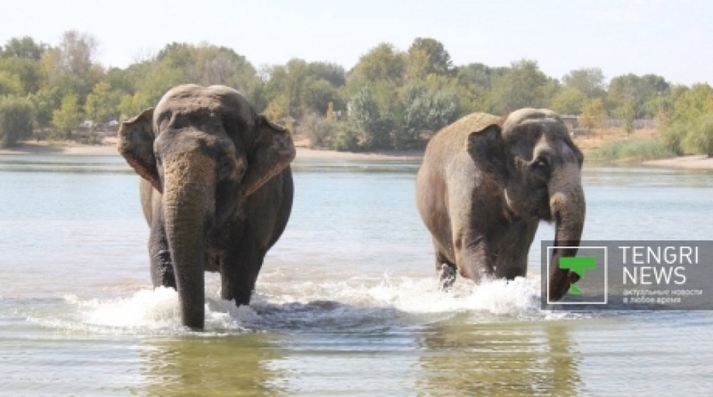 Фото ©tengrinews.kz