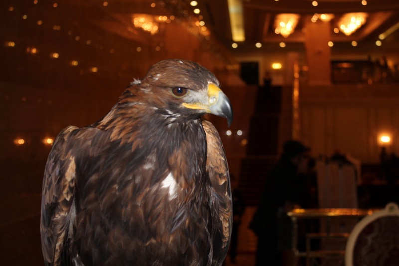 Фото © Асель Сатаева  