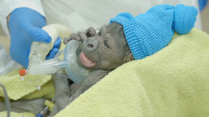 Кадр: youtube.com